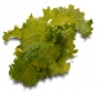 Лифли