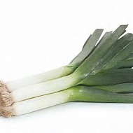 Лук порей